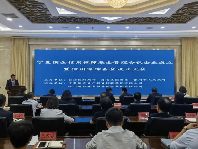 資訊丨30億！寧夏設立國有企業(yè)信用保障基金，完善區(qū)域金融穩(wěn)定機制