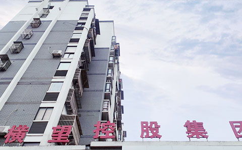 獻策“十四五”規(guī)劃編制，助力橫望集團高質(zhì)量發(fā)展