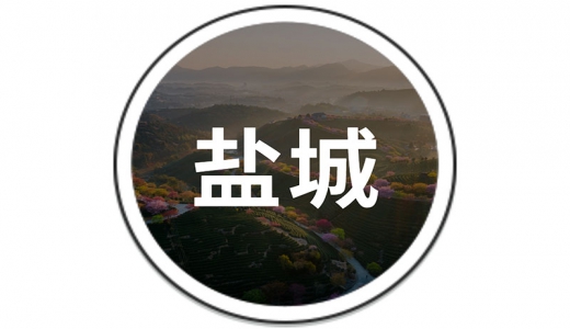   鹽城：設(shè)立30億的還貸過橋資金池、20億債務(wù)風(fēng)險(xiǎn)化解周轉(zhuǎn)金