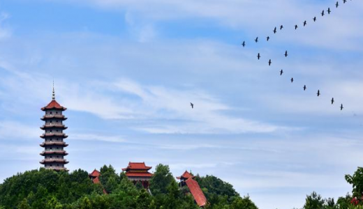 湖北大冶湖高新技術產業(yè)投資有限公司融資租賃項目