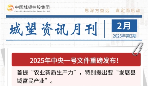 城望資訊2月刊丨中央一號文件重磅發(fā)布！全國首單數(shù)據(jù)資產(chǎn)作價入股落地？