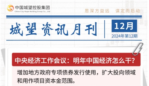 城望資訊12月刊丨明年中國(guó)經(jīng)濟(jì)怎么干？