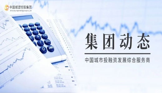 集團動態(tài)丨城望集團助力西部經(jīng)濟公司，開啟組織薪酬績效改革新征程