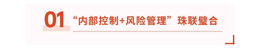 國企內(nèi)控管理標(biāo)題 國企內(nèi)控管理標(biāo)題